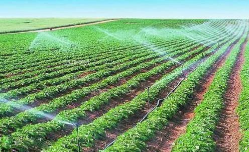 大鸡巴操入小逼视频农田高 效节水灌溉